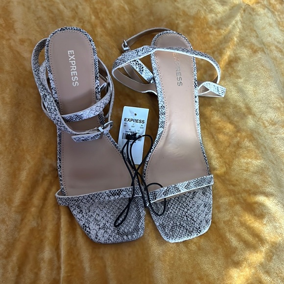 Small heel snake tan and black - Picture 1 of 5